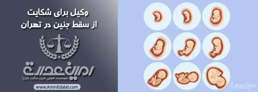 وکیل برای شکایت سقط جنین در تهران